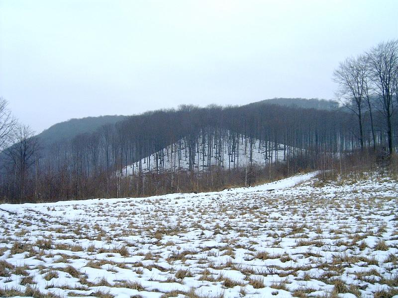 20110219 034.jpg